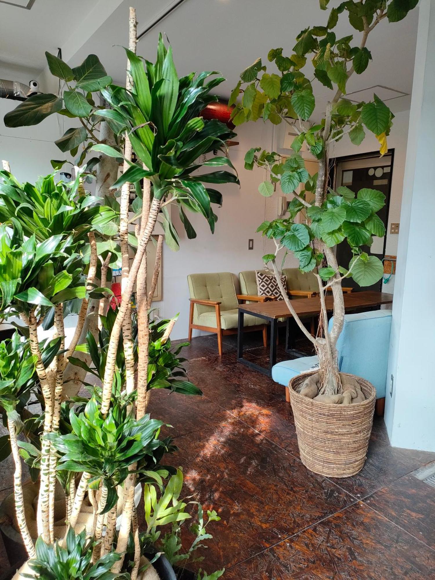 Tokyo Guest House Ouji Music Lounge Ngoại thất bức ảnh